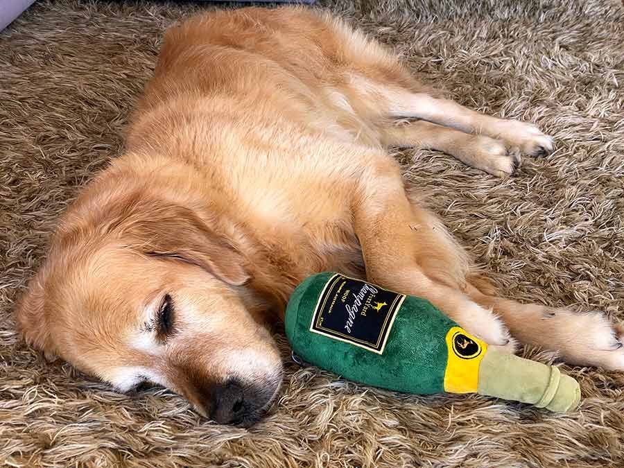Dozer-champagne-toy