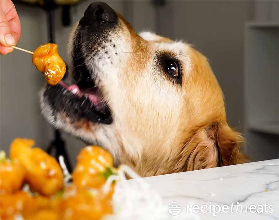 Dozer Honey Chicken