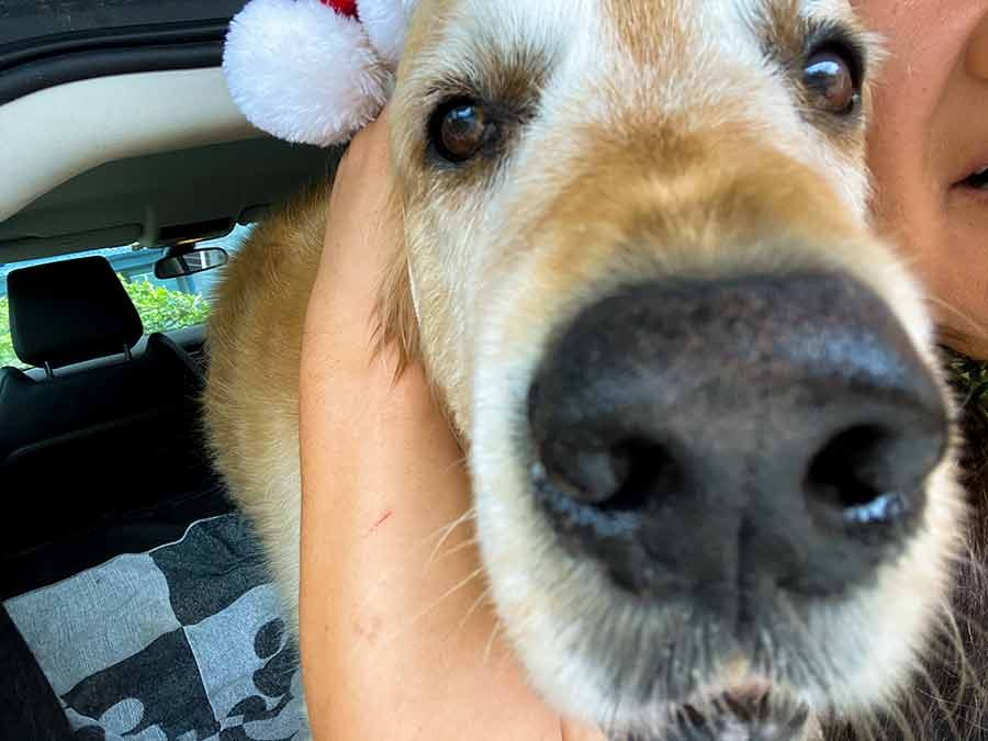 Nagi Dozer Christmas 2020 Selfie