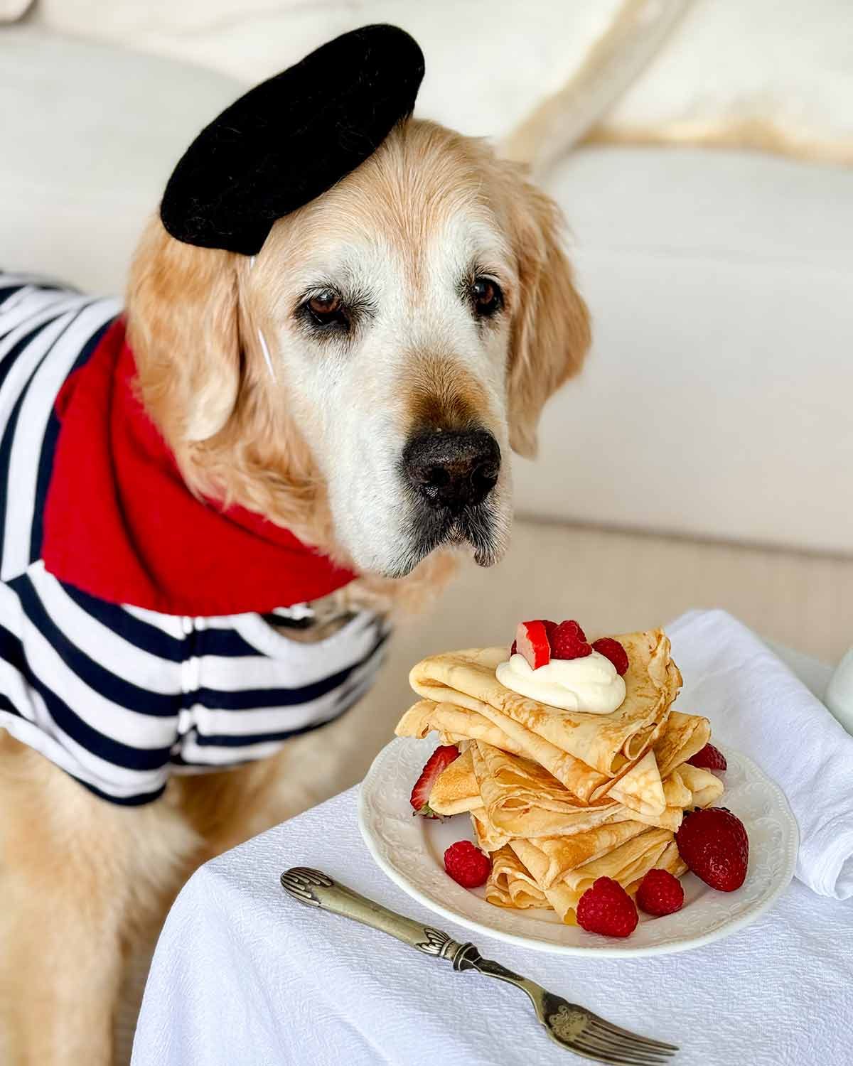 Dozer crêpes